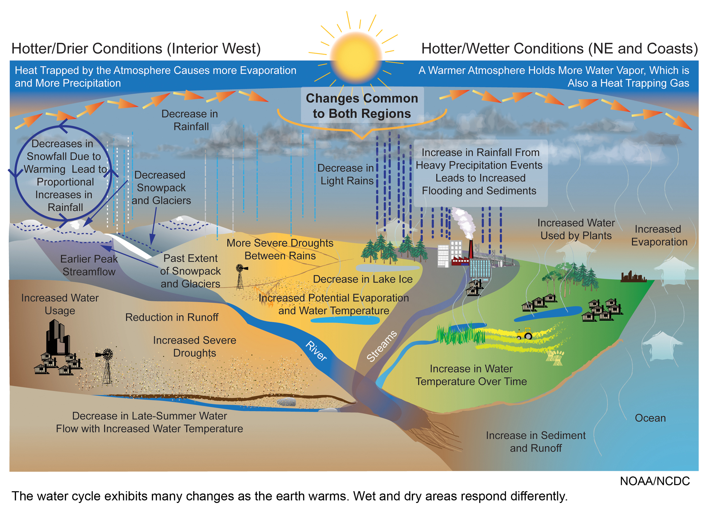 climate change & the water cycle