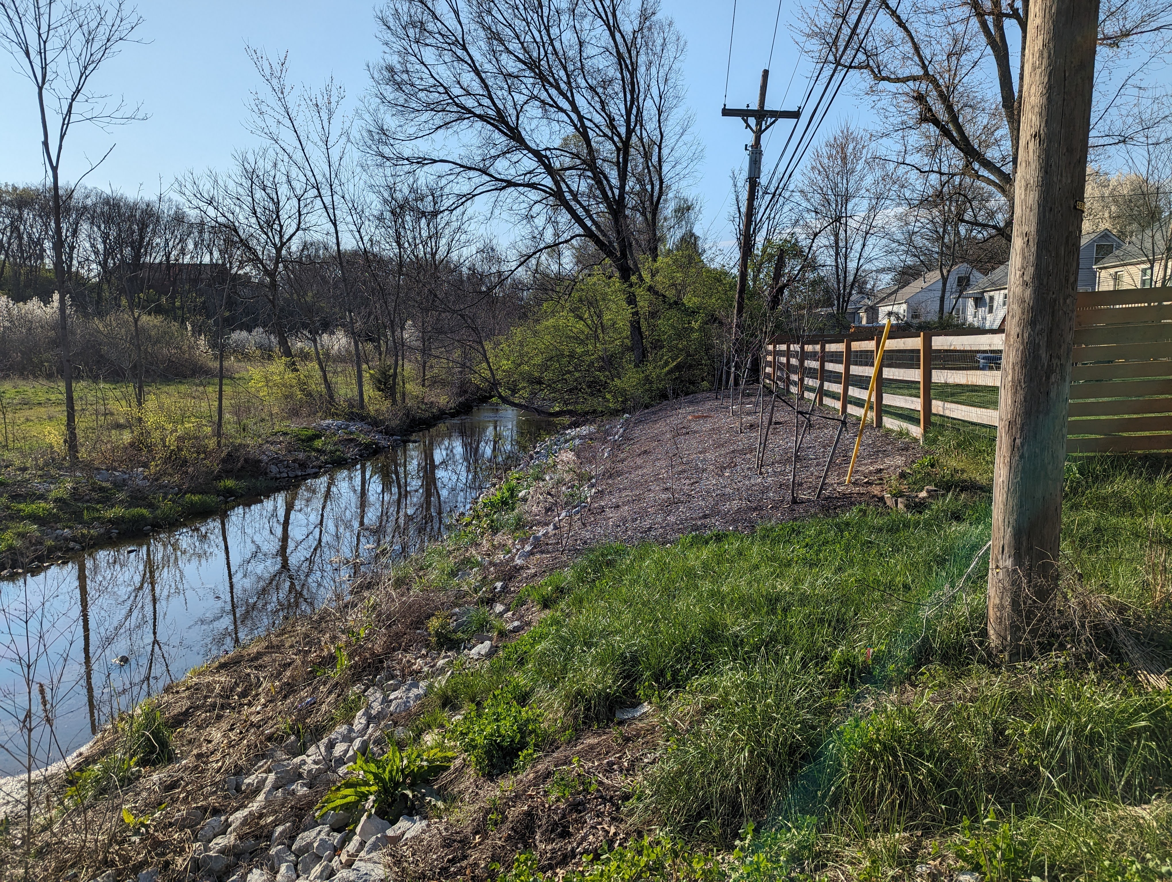 backyard stream