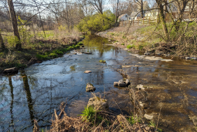 backyard stream