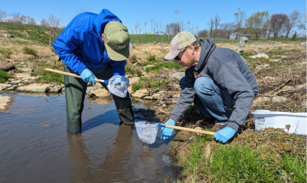 bioblitz