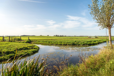 farm stream