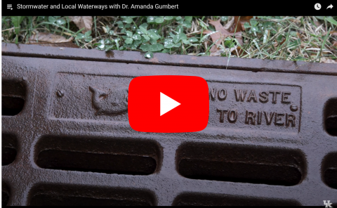 Stormwater & Local Waterways