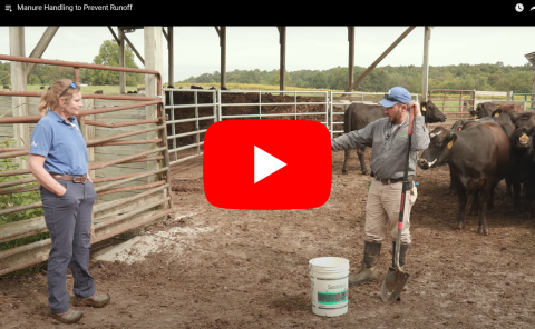 Manure Handling to Prevent Runoff