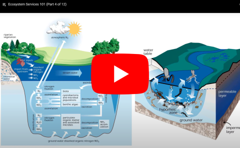 Ecosystem Services 101 (Part 4 of 12)