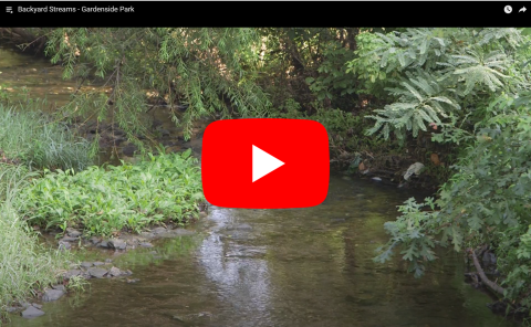 Backyard Streams - Gardenside Park