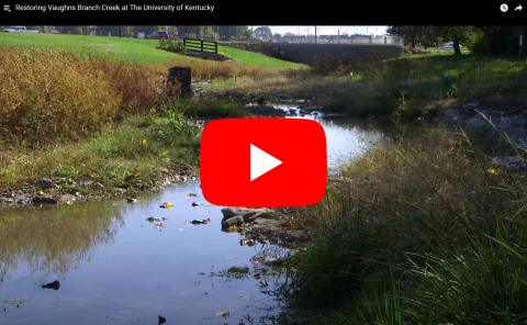 Vaughns Branch Creek - Stream Restoration