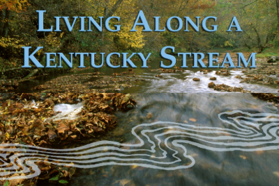 Living Along a KY Stream