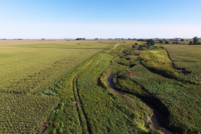 buffer on farm