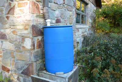 rain barrel