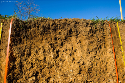 SOIL & WATER CONSERVATION | Soil and Water