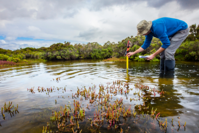 measuring water