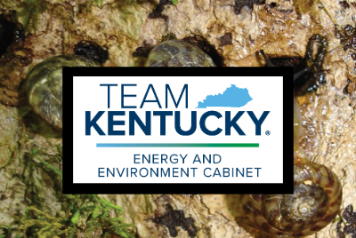 Team KY logo